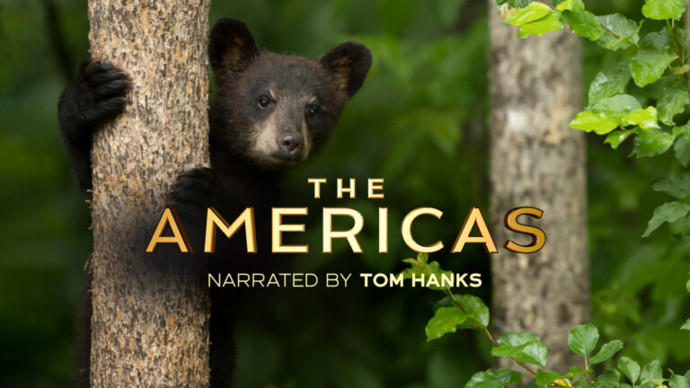 Saturday 24 May 2025 TV Ratings Australia