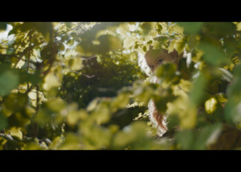 MOVIE | The Magic Faraway Tree first look image