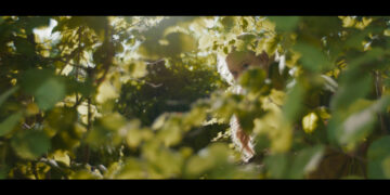 MOVIE | The Magic Faraway Tree first look image