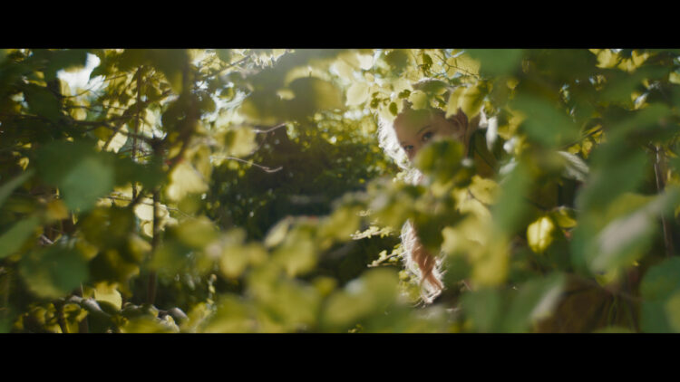 MOVIE | The Magic Faraway Tree first look image