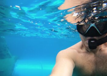 December 2024 on Shelter