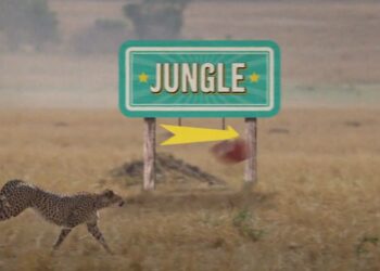 I’m A Celebrity… Get Me Out Of Here! on 10 AFL star clue