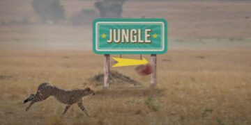 I’m A Celebrity… Get Me Out Of Here! on 10 AFL star clue