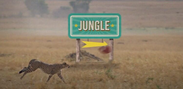 I’m A Celebrity… Get Me Out Of Here! on 10 AFL star clue