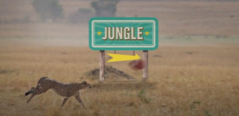 I’m A Celebrity… Get Me Out Of Here! on 10 AFL star clue