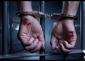 New true crime FAST channel coming to 7plus