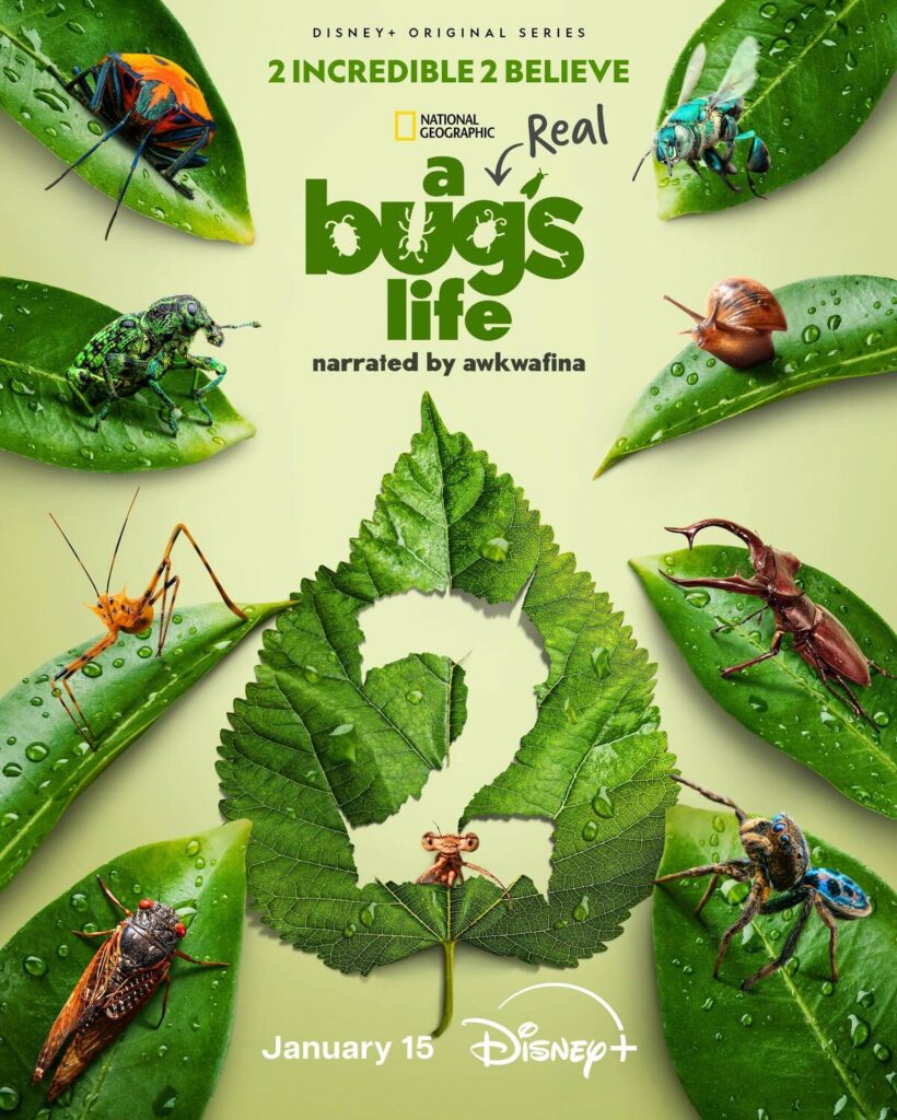 A Real Bug's Life on Disney+ trailer