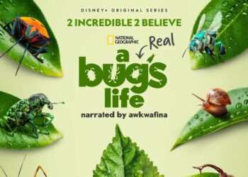 A Real Bug's Life on Disney+ trailer