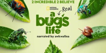 A Real Bug's Life on Disney+ trailer