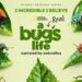 A Real Bug's Life on Disney+ trailer