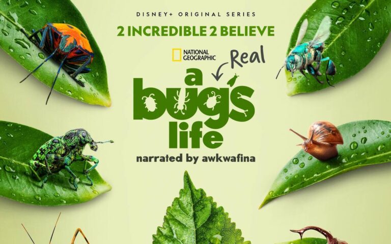 A Real Bug's Life on Disney+ trailer