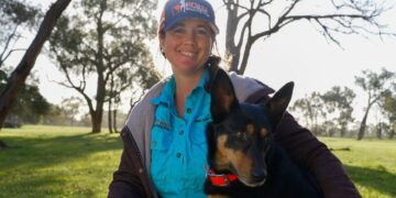 Muster Dogs: Where Are They Now? on ABC and ABC iview S1E3