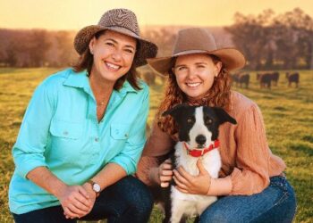 Muster Dogs: Where Are They Now? on ABC and ABC iview S1E2