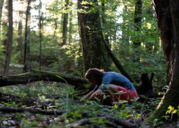 The Forest on ABC and ABC iview