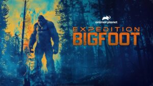 January 2025 on Warner Bros. Discovery