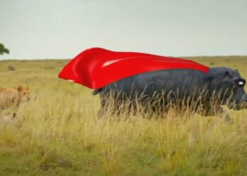 I’m A Celebrity… Get Me Out Of Here! on 10 Hero clue