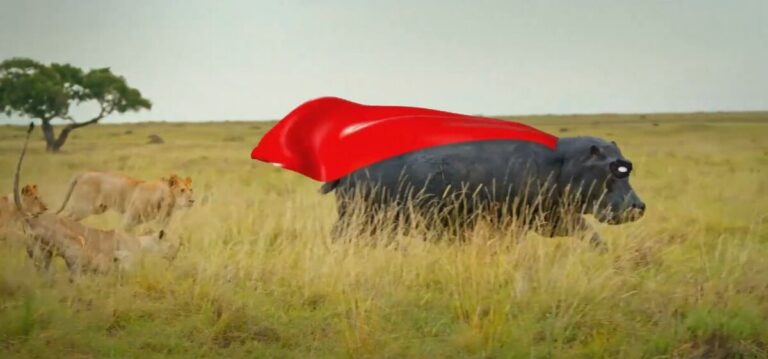 I’m A Celebrity… Get Me Out Of Here! on 10 Hero clue