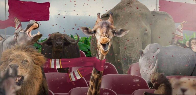 I’m A Celebrity… Get Me Out Of Here! on 10 Footy Legend clue