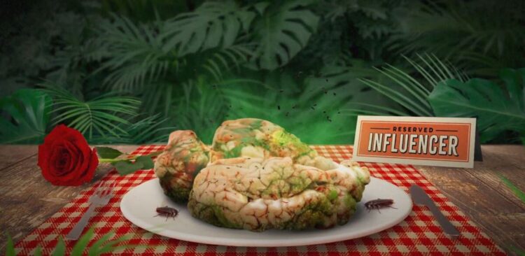 I’m A Celebrity… Get Me Out Of Here! on 10 Influencer clue