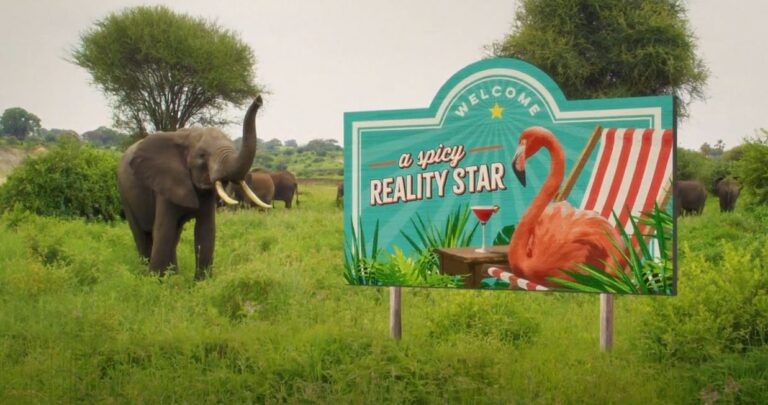 I’m A Celebrity… Get Me Out Of Here! on 10 Reality Star clue