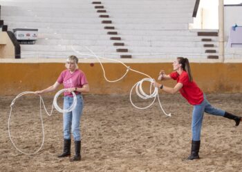 A League of Their Own: Mexican Road Trip on SBS Viceland and SBS on Demand S8E5