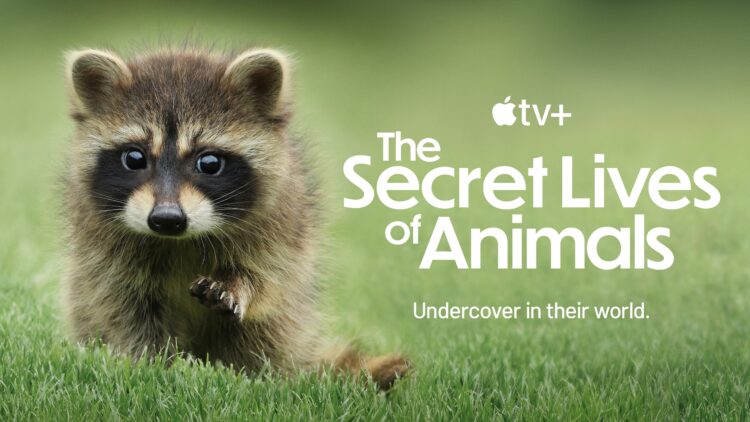 The Secret Lives of Animals on Apple TV+ trailer
