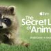 The Secret Lives of Animals on Apple TV+ trailer