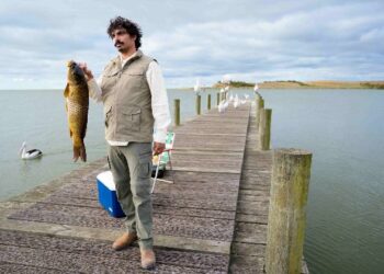 Eat the Invaders on ABC and ABC iview S1E2