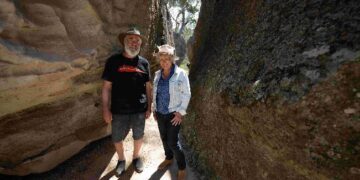 Back Roads on ABC and ABC iview S11E4