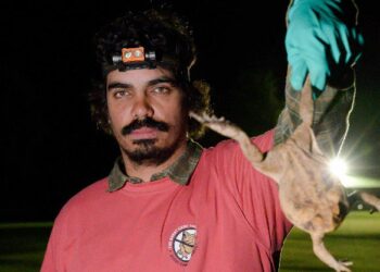 Eat the Invaders on ABC and ABC iview S1E3