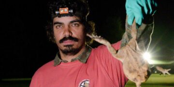 Eat the Invaders on ABC and ABC iview S1E3