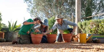 Gardening Australia Junior on ABC Kids and ABC iview S2E3