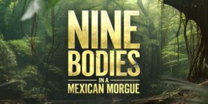 February 2025 on Stan