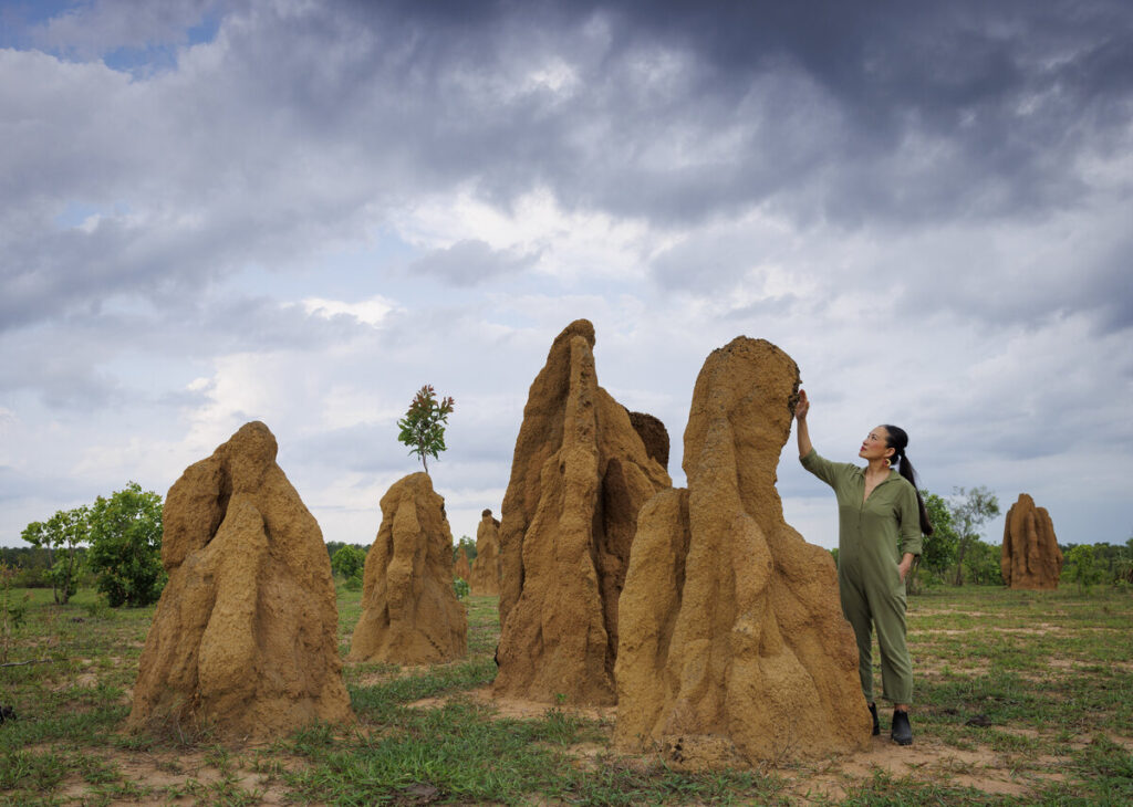 Poh Ling Yeow unveiled as the Northern Territory’s newest ambassador