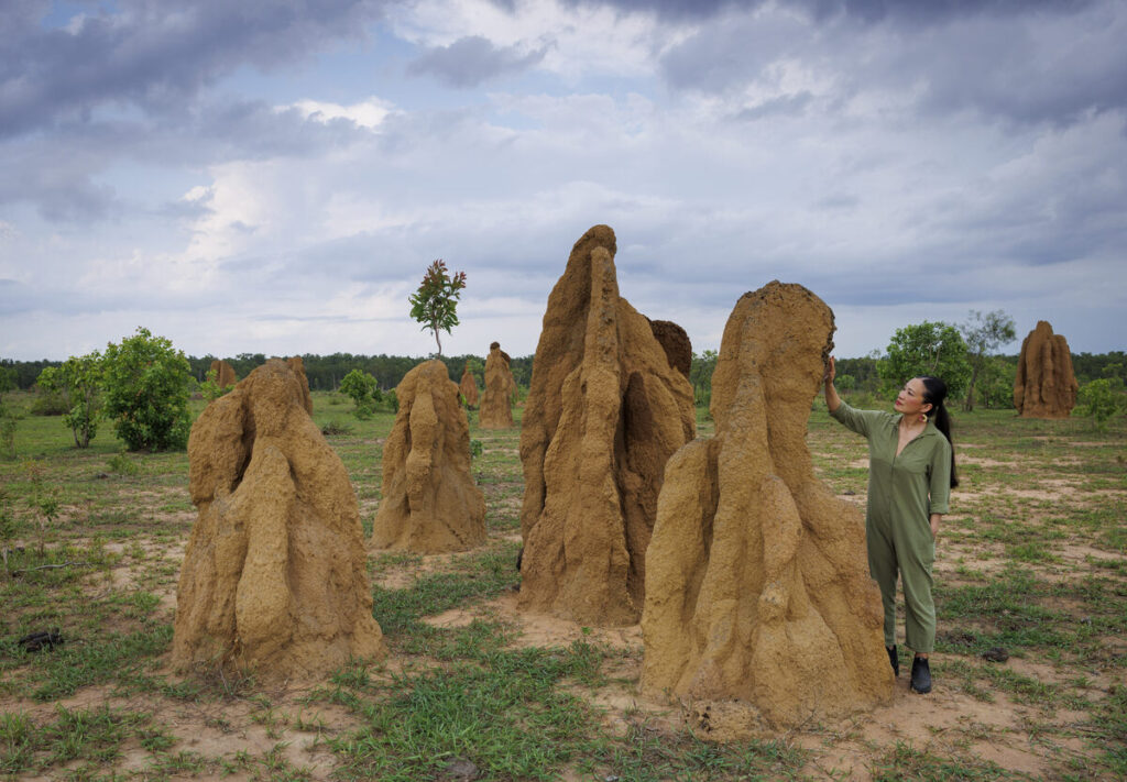 Poh Ling Yeow unveiled as the Northern Territory’s newest ambassador