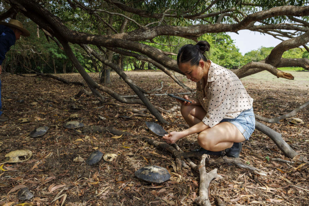 Poh Ling Yeow unveiled as the Northern Territory’s newest ambassador