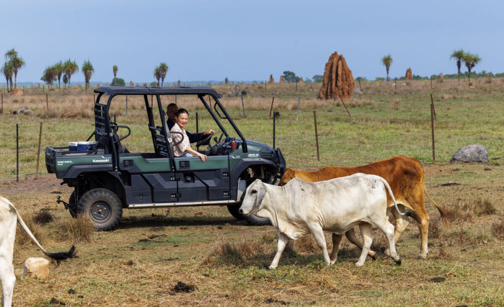 Poh Ling Yeow unveiled as the Northern Territory’s newest ambassador