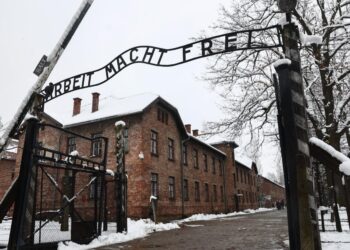 Auschwitz: Countdown To Liberation on SBS and SBS on Demand