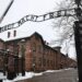 Auschwitz: Countdown To Liberation on SBS and SBS on Demand