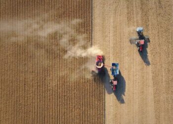 Food, Inc. 2 on SBS Viceland and SBS on Demand