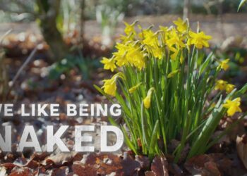 We Like Being Naked on SBS Viceland and SBS on Demand