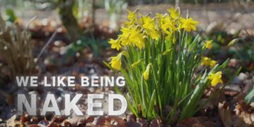 We Like Being Naked on SBS Viceland and SBS on Demand