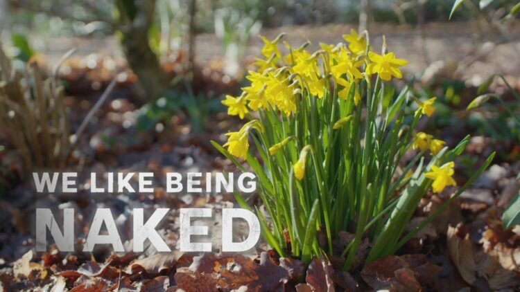 We Like Being Naked on SBS Viceland and SBS on Demand