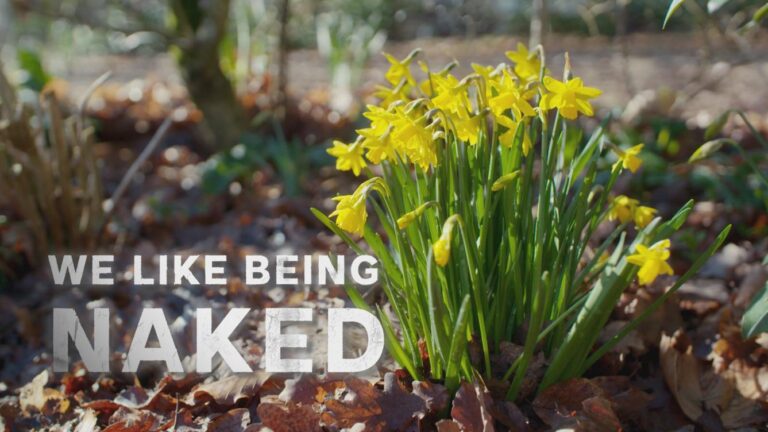 We Like Being Naked on SBS Viceland and SBS on Demand