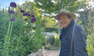 February 2025 on ABC iview