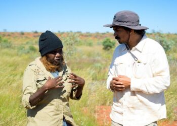 Eat the Invaders on ABC and ABC iview S1E5