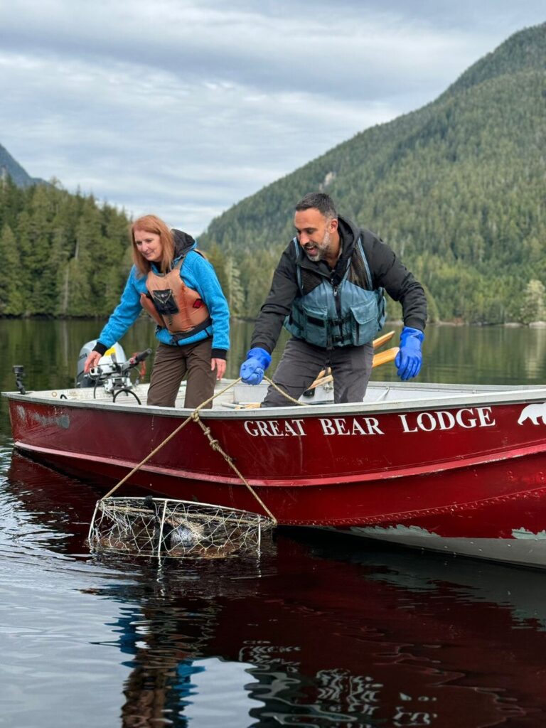 Better Homes and Gardens on Channel 7 and 7plus S31E2