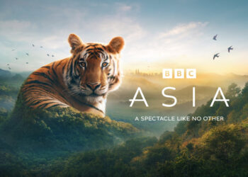 BBC Studios Renews Natural History Partnerships in ANZ