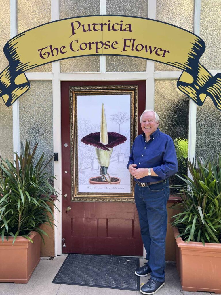 Better Homes and Gardens on Channel 7 and 7plus S31E3