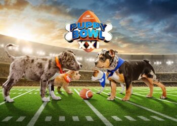 March 2025 on Warner Bros. Discovery